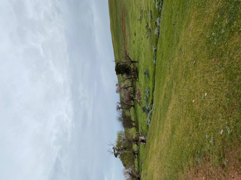 Lot 117 Stoney Banks Road, Mount Pleasant SA 5235