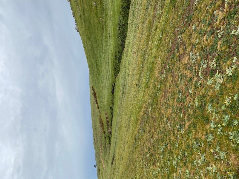 Lot 117 Stoney Banks Road, Mount Pleasant SA 5235