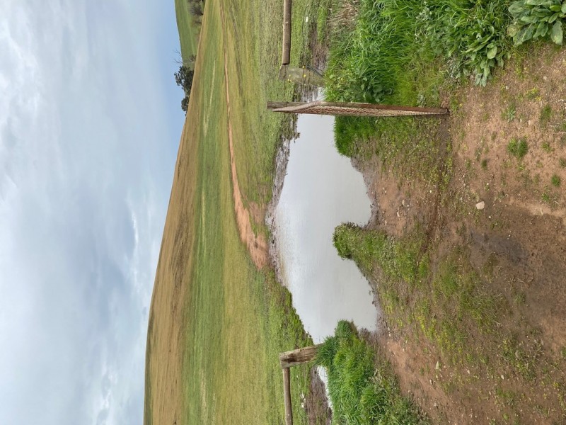 Lot 117 Stoney Banks Road, Mount Pleasant SA 5235