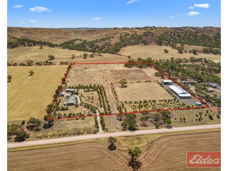 81 STOCK ROUTE ROAD (via Point Pass), Eudunda SA 5374