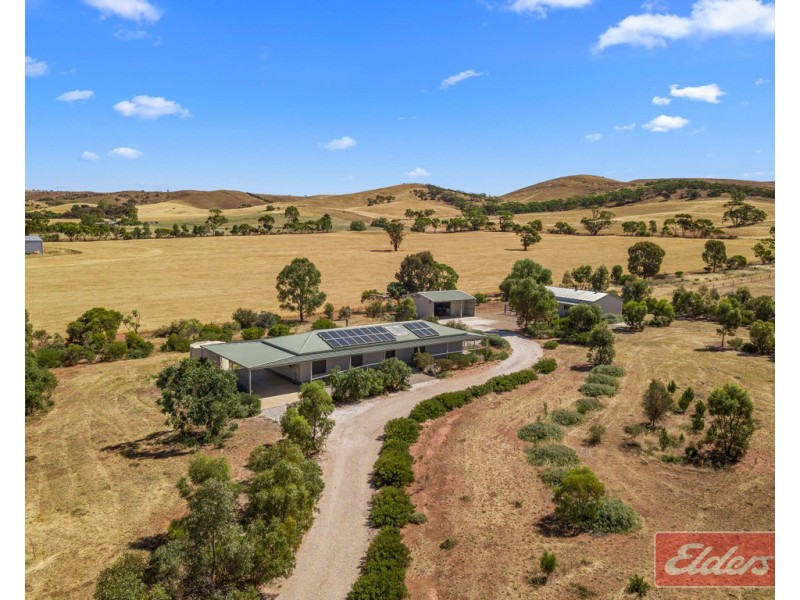 81 STOCK ROUTE ROAD (via Point Pass), Eudunda SA 5374