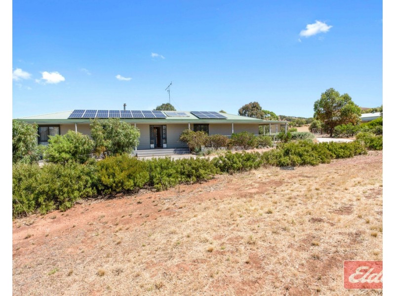 81 STOCK ROUTE ROAD (via Point Pass), Eudunda SA 5374