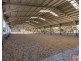 81 STOCK ROUTE ROAD (via Point Pass), Eudunda SA 5374