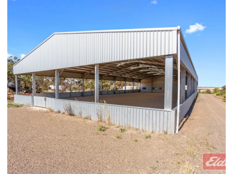 81 STOCK ROUTE ROAD (via Point Pass), Eudunda SA 5374