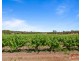 1999 Barossa Valley Way, Rowland Flat SA 5352