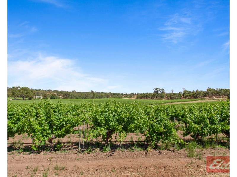 1999 Barossa Valley Way, Rowland Flat SA 5352