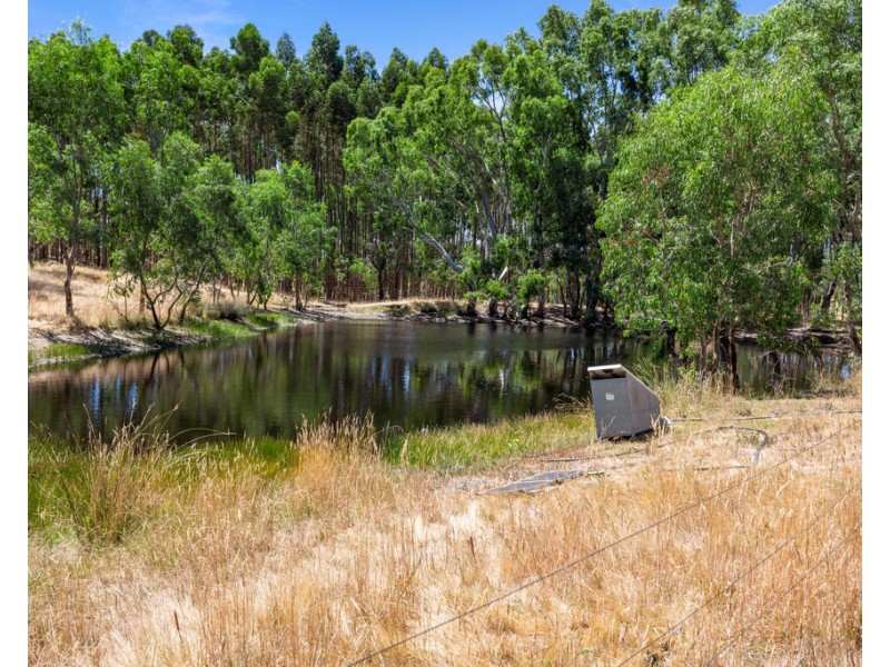 3 Brownes Road, Pewsey Vale SA 5351