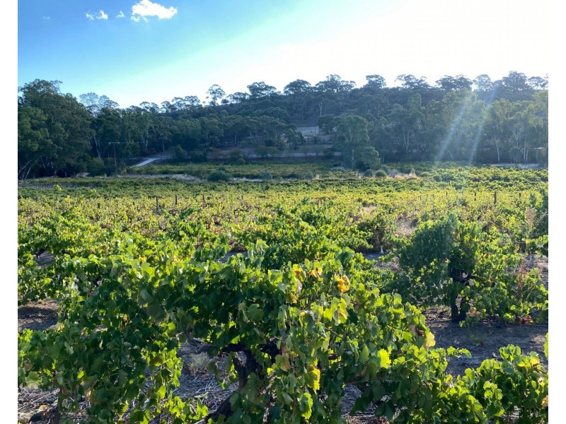 8538 Horrocks Highway, Clare SA 5453