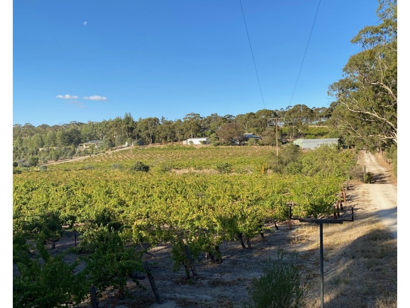 8538 Horrocks Highway, Clare SA 5453