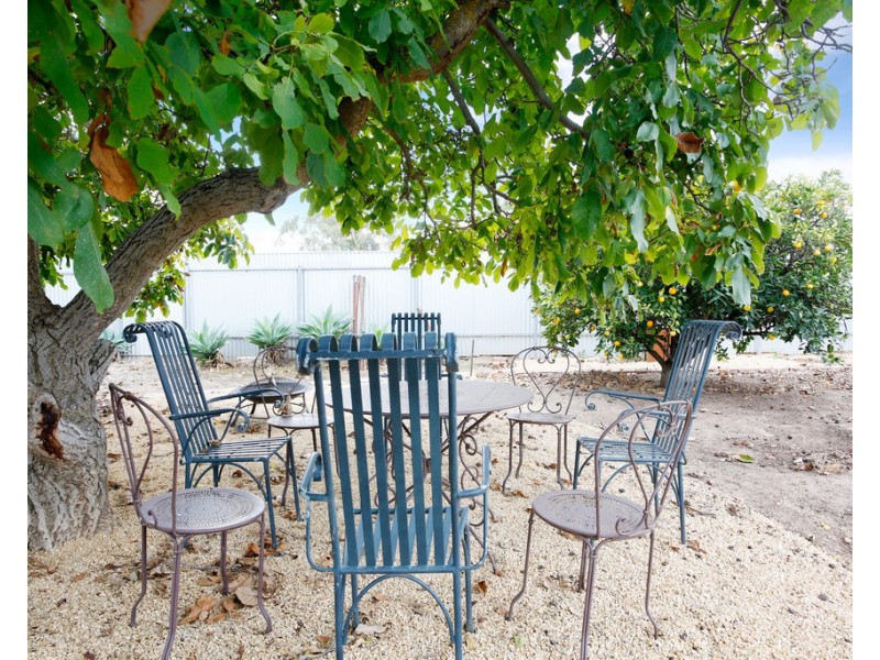 9 South Terrace, Nuriootpa SA 5355