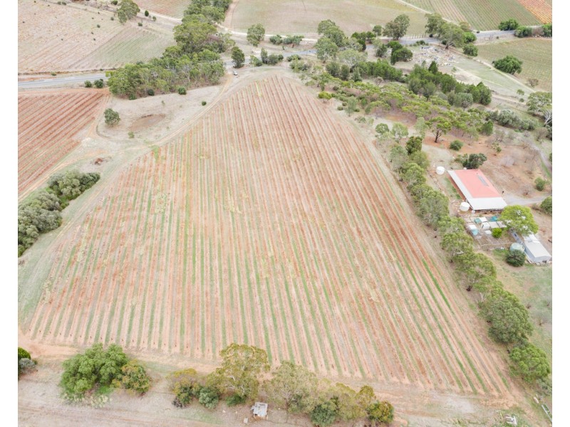 1798 Barossa Valley Way, Rowland Flat SA 5352