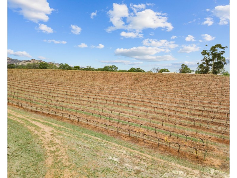 1798 Barossa Valley Way, Rowland Flat SA 5352