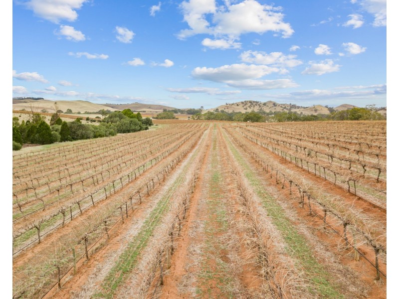 1798 Barossa Valley Way, Rowland Flat SA 5352