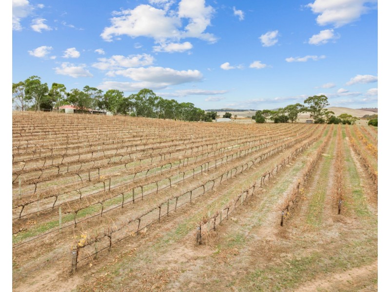 1798 Barossa Valley Way, Rowland Flat SA 5352