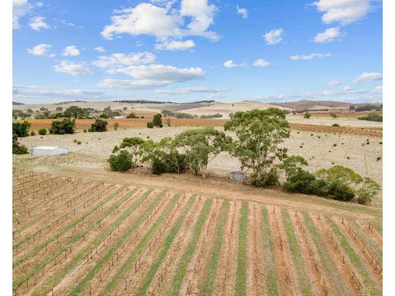 1798 Barossa Valley Way, Rowland Flat SA 5352