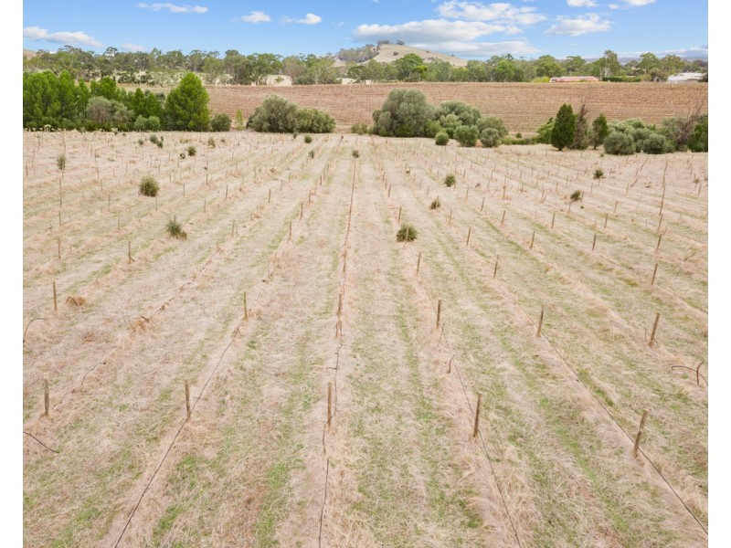 1798 Barossa Valley Way, Rowland Flat SA 5352