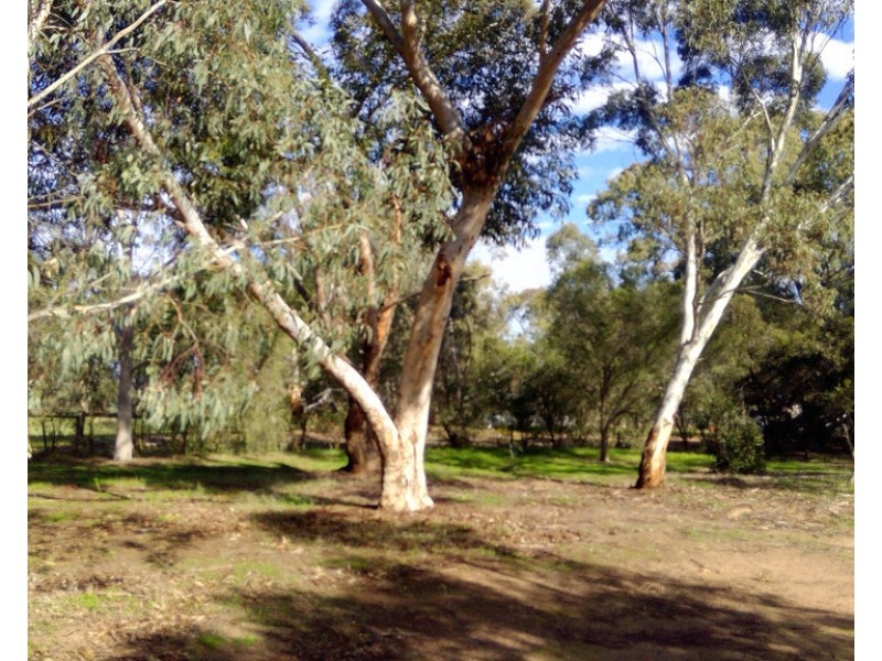 19 Barons Court, Greenock SA 5360