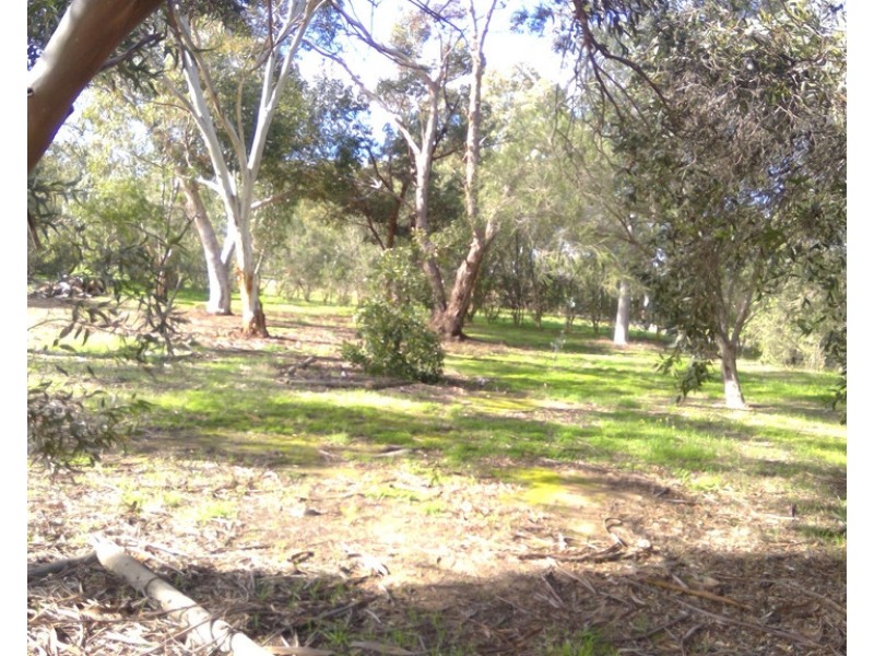 19 Barons Court, Greenock SA 5360