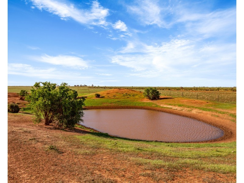 Lot 132 DUTTON EAST ROAD, Dutton East SA 5356