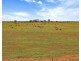 Lot 132 DUTTON EAST ROAD, Dutton East SA 5356