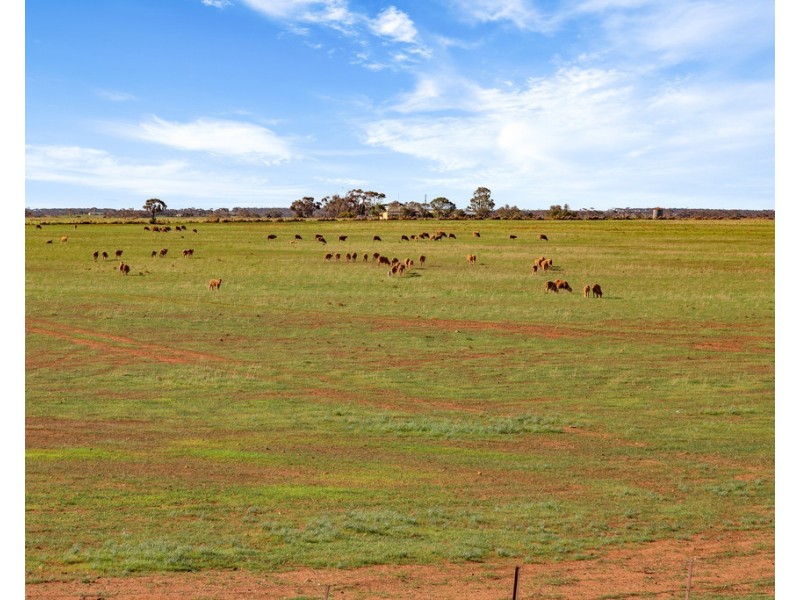 Lot 132 DUTTON EAST ROAD, Dutton East SA 5356