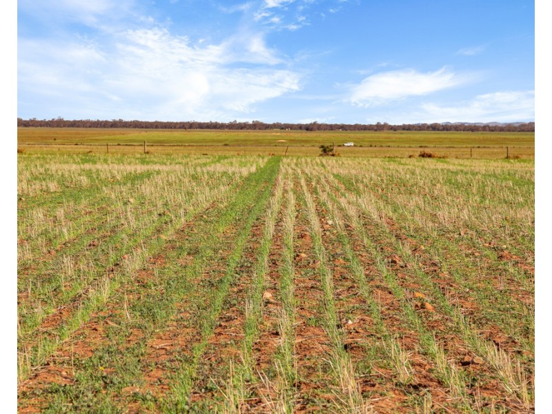 Lot 132 DUTTON EAST ROAD, Dutton East SA 5356