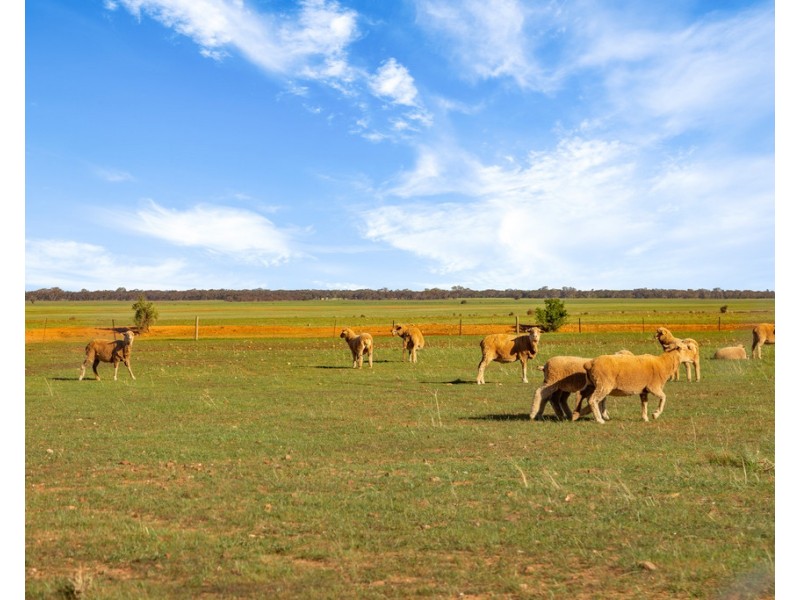 Lot 132 DUTTON EAST ROAD, Dutton East SA 5356