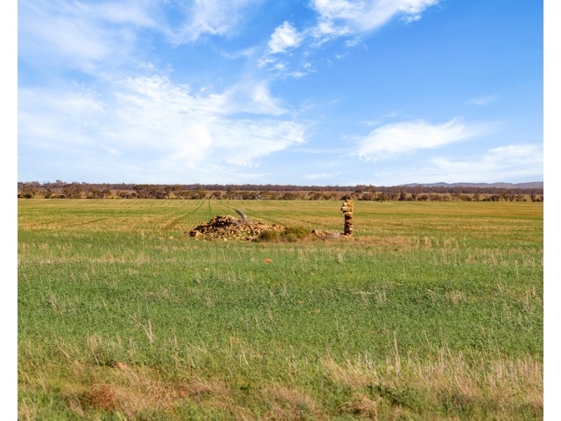 Lot 132 DUTTON EAST ROAD, Dutton East SA 5356