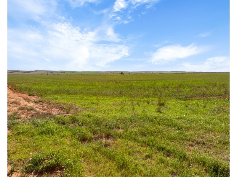 Lot 132 DUTTON EAST ROAD, Dutton East SA 5356