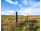 Lot 132 DUTTON EAST ROAD, Dutton East SA 5356