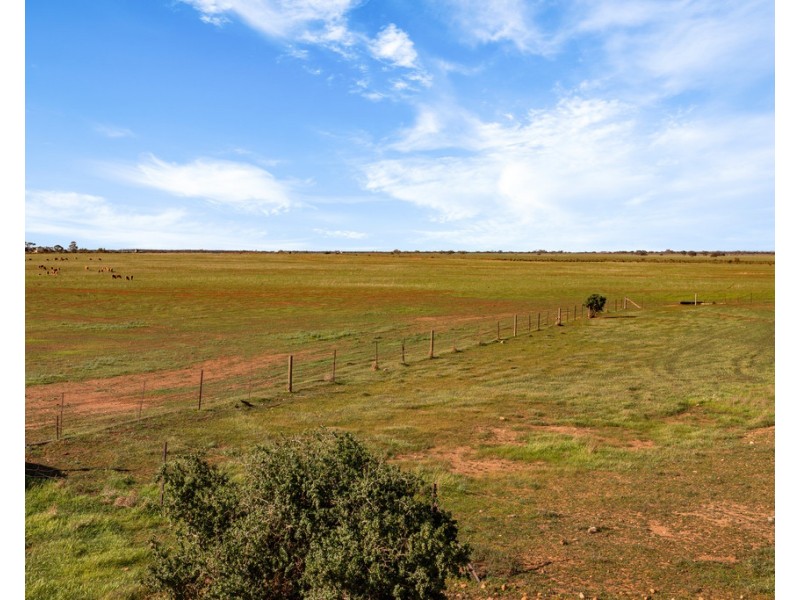 Lot 132 DUTTON EAST ROAD, Dutton East SA 5356