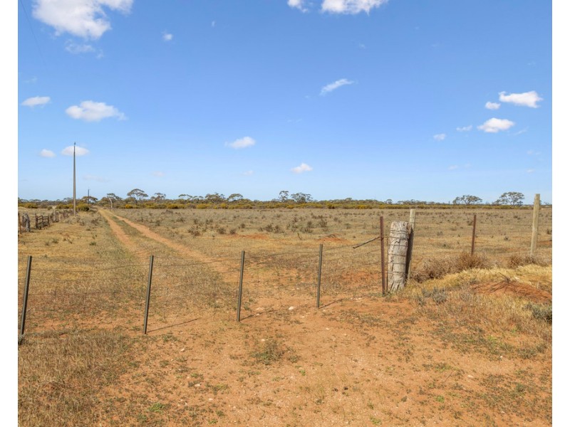 Lot 1 BATTENS ROAD, Sedan SA 5353