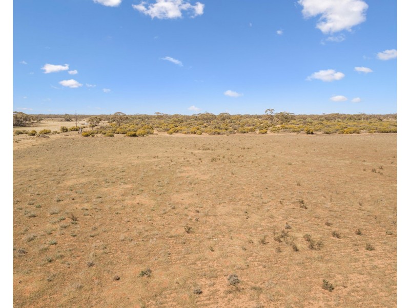 Lot 1 BATTENS ROAD, Sedan SA 5353