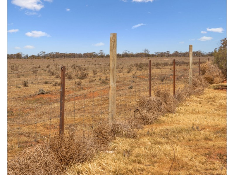 Lot 1 BATTENS ROAD, Sedan SA 5353