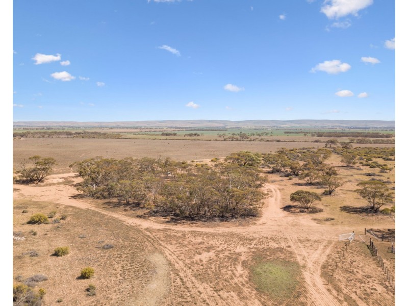 Lot 1 BATTENS ROAD, Sedan SA 5353
