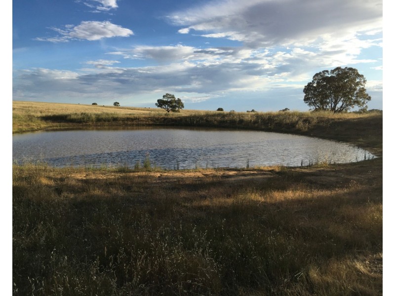 263 Verralls Road, Mount Pleasant SA 5235