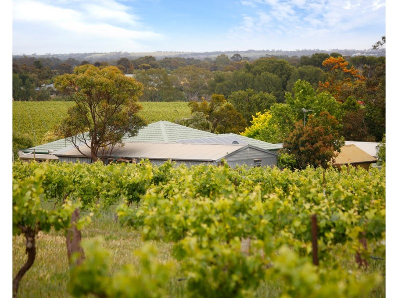 273 SALE YARDS ROAD, Penrice SA 5353