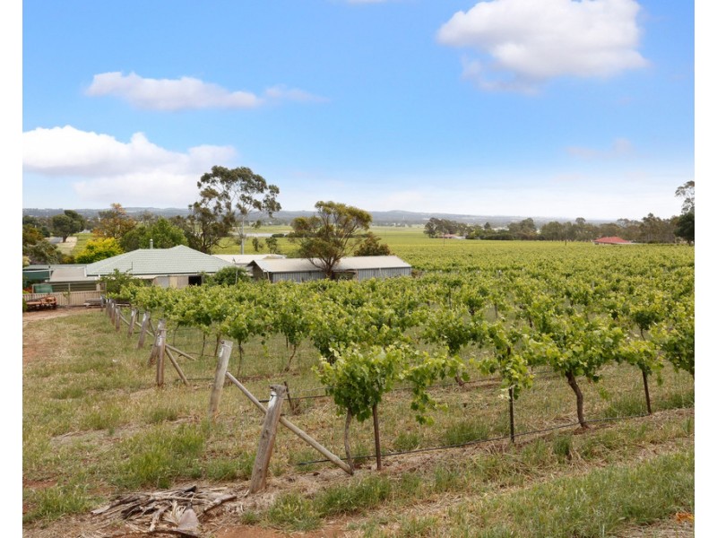 273 SALE YARDS ROAD, Penrice SA 5353