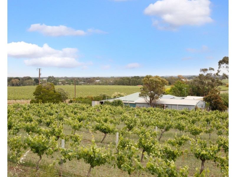 273 SALE YARDS ROAD, Penrice SA 5353