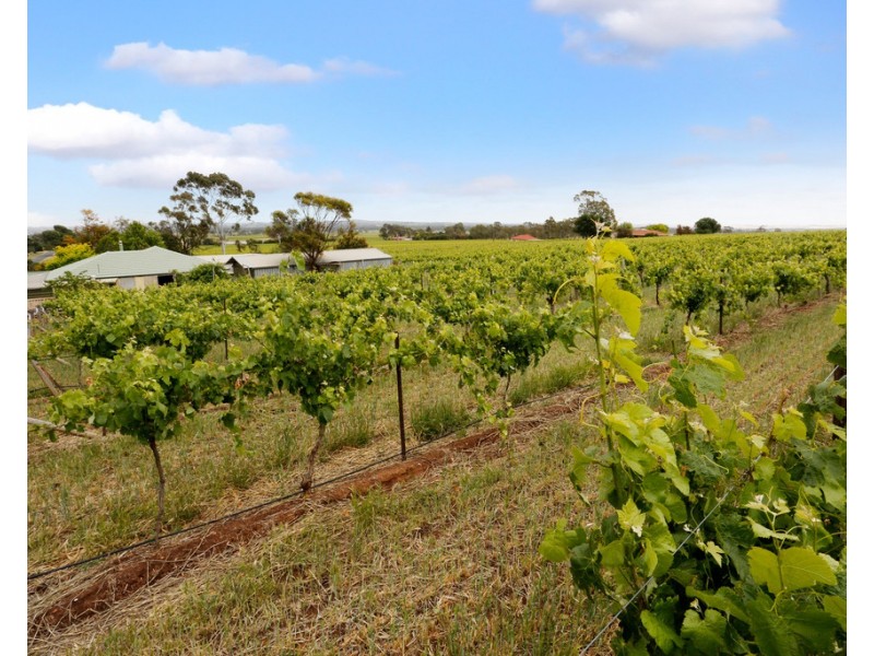 273 SALE YARDS ROAD, Penrice SA 5353