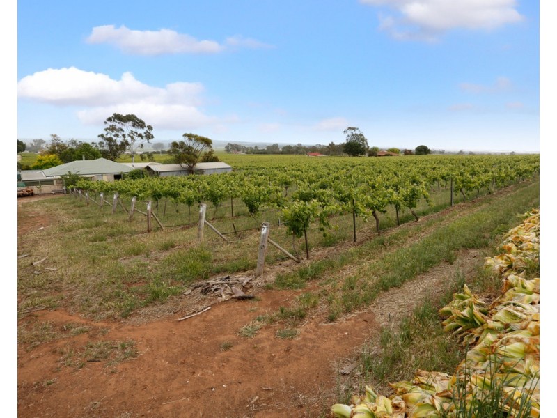 273 SALE YARDS ROAD, Penrice SA 5353