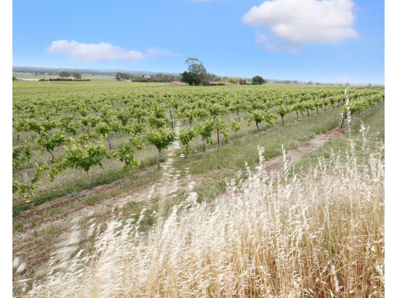 273 SALE YARDS ROAD, Penrice SA 5353