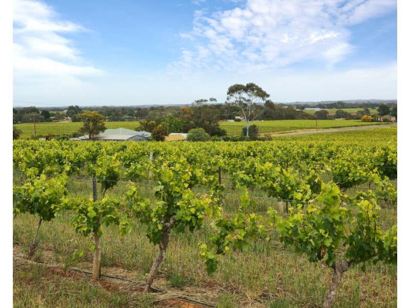 273 SALE YARDS ROAD, Penrice SA 5353