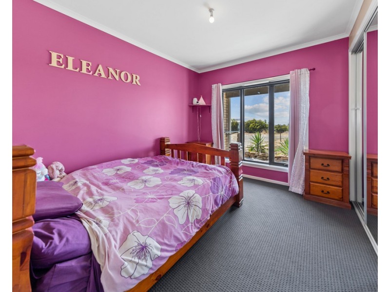 697 EUDUNDA ROAD, Dutton SA 5356