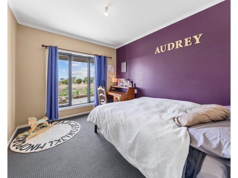 697 EUDUNDA ROAD, Dutton SA 5356