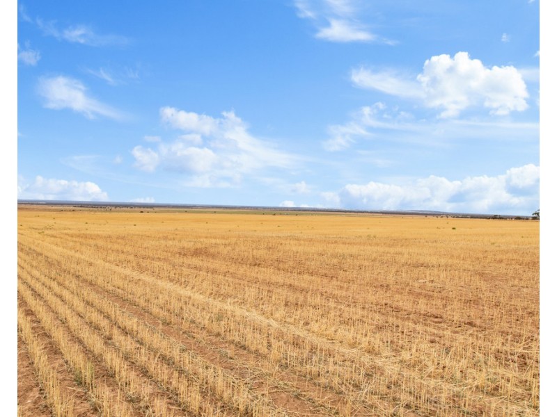 Lot 44 Sturt Highway, Dutton East SA 5356