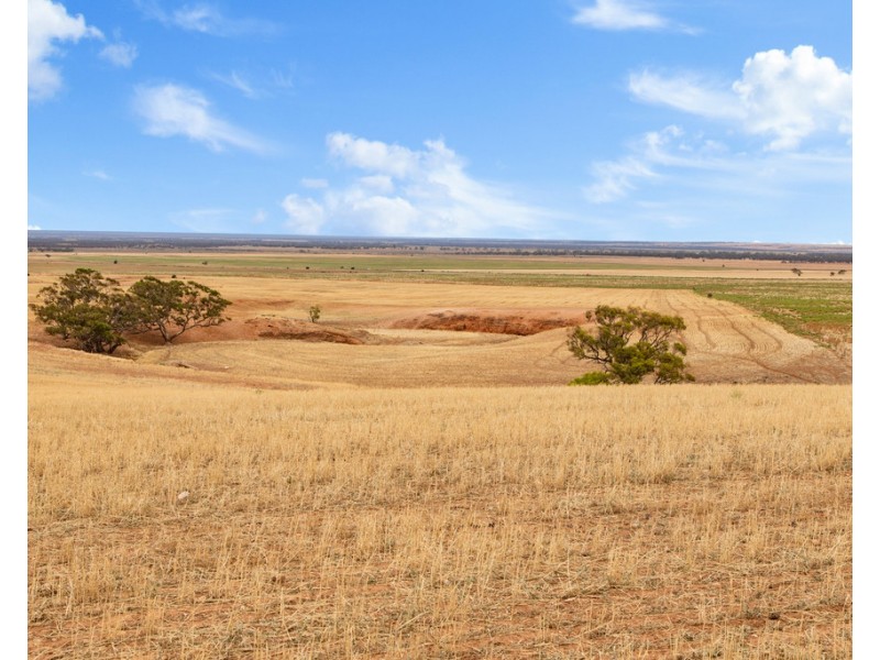 Lot 44 Sturt Highway, Dutton East SA 5356