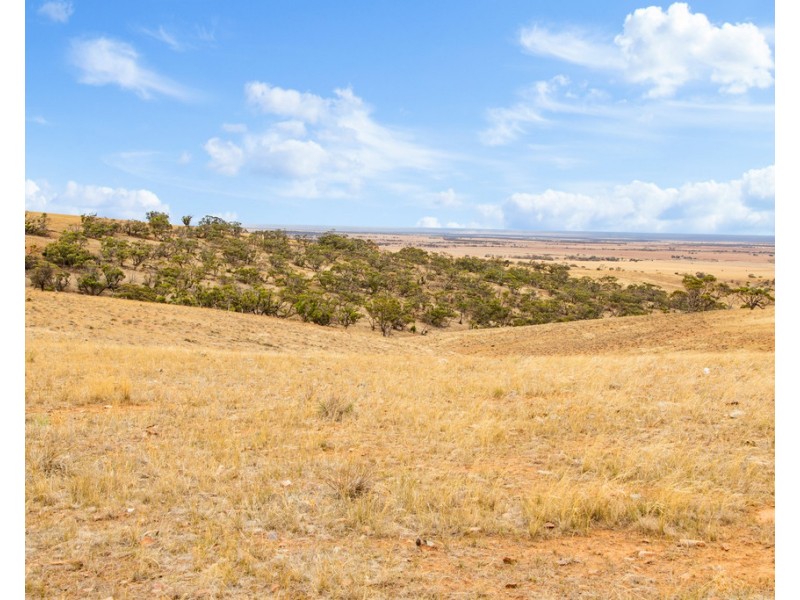 Lot 44 Sturt Highway, Dutton East SA 5356
