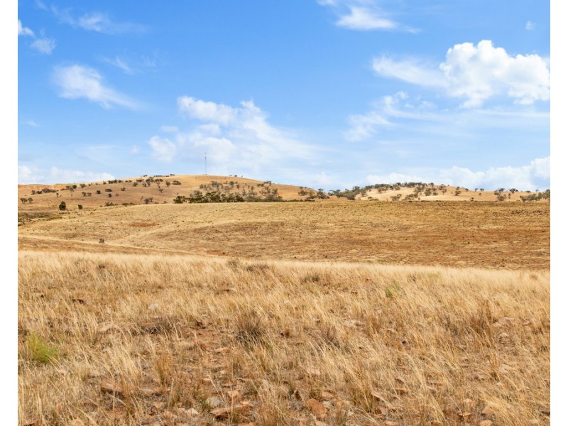 Lot 44 Sturt Highway, Dutton East SA 5356