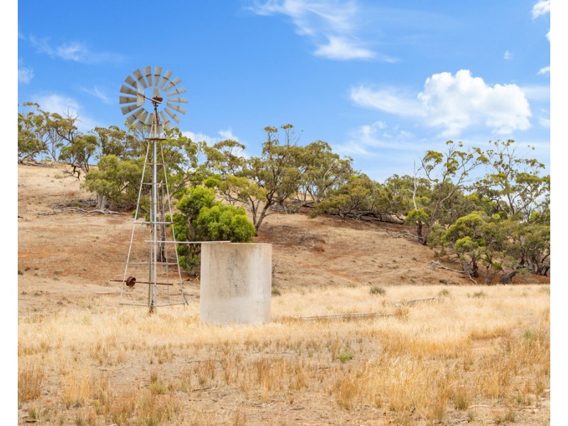 Lot 44 Sturt Highway, Dutton East SA 5356